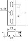 Profilschiene gelocht, Schlitzweite 22mm 400x50x30, St, FT