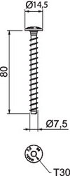 Rundkopfanker mit Panhead 7,5x80mm, St, G