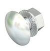 Flachrundschraube mit Kombimutter M10x25/25mm, A2, 2B