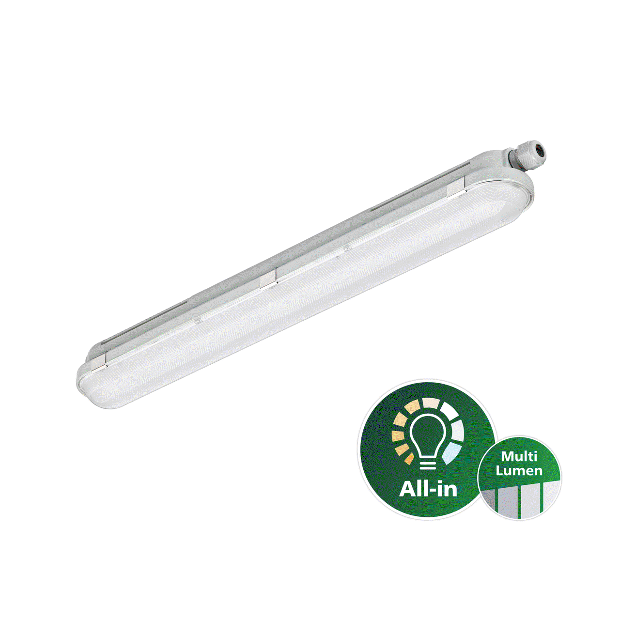 CoreLine waterproof gen3, All-in, 25 W, 14.6 W, L600 mm, 2400 lm, 2900 lm, 3500 lm, 4000 lm, 4000 K, Symmetrisch, Klar, IP66, IK08 – Bild 2 von 20
