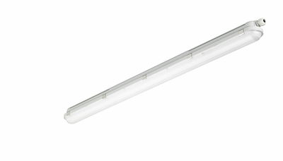 CoreLine Feuchtraumleuchte WT120C, (in brown Eco Packaging), 21 W, L1200 mm, 2700 lm, 4000 K, Symmetrisch, Klar, IP65, IK08, TW1-ready