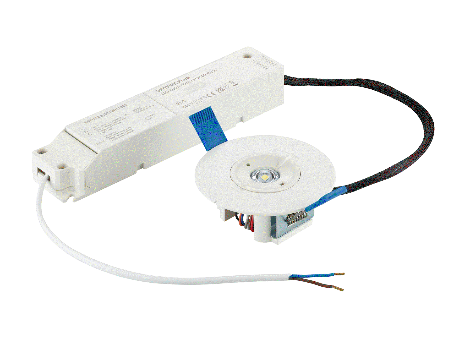 Notfall-Downlight, Recessed, 3 W, 3 W, D95 mm  H31 mm, 328 lm, 6500 K, IP20, ELP3h – Bild 2 von 5