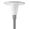 BDP103 | TOWNGUIDE PERF CLASSIC T, LED20 | LED Module 2000 lm