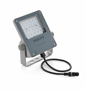 CoreLine Tempo Small Gen2, Floodlight, 31 W, 4437 lm, 4000 K, CRI70, Asymmetrisch, IP66