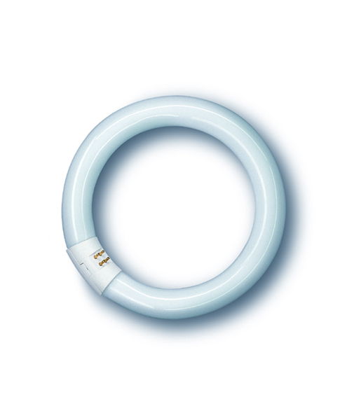 Leuchtstofflampe Spectralux®Plus Ring , NL-T9 32W/840C/G10Q