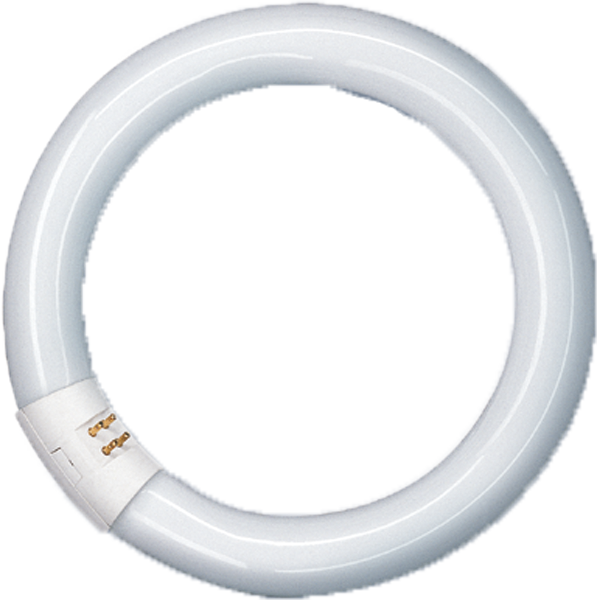 Leuchtstofflampe Spectralux®Plus Ring , NL-T9 32W/840C/G10Q – Bild 2 von 10