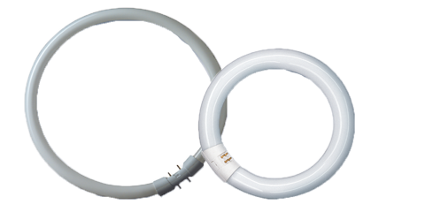 Leuchtstofflampe Spectralux®Plus Ring , NL-T9 32W/840C/G10Q – Bild 6 von 10