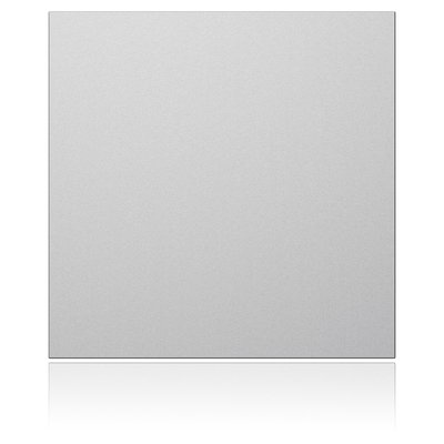 Portier Blindmodul, silber