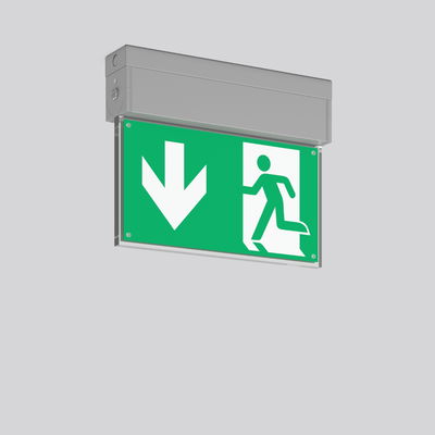 GSUN S, 2,5 W, silber, Decken- und Wandleuchten, L 247 B 45 H 195, EB, 8 h, Not-60 lm, automatischer Selbsttest