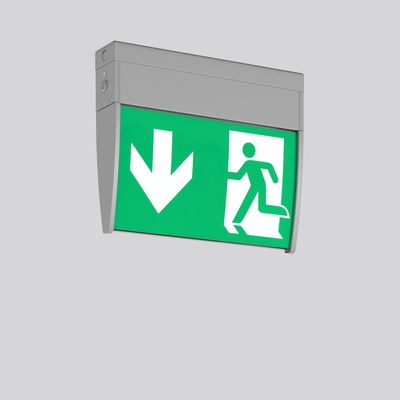 GSUN D, 2,5 W, silber, Decken- und Wandleuchten, L 247 B 45 H 200, EB, 8 h, Not-30 lm, automatischer Selbsttest