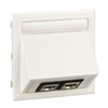 Dateneinsatz CYB-DP weiß RAL9010 2XLEXCOM Actassi 250 Cat 6 STP