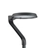TownTune Asymmetric Lyre, Urban road & street light, 8.5 W, 936 lm, 4000 K, CRI70, Safety class I, IP66, STD