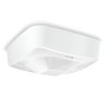 Präsenzmelder Hochfrequenz, Aufputz, IP54, 360° Reichweite max: Ø 12 m (113 m²)