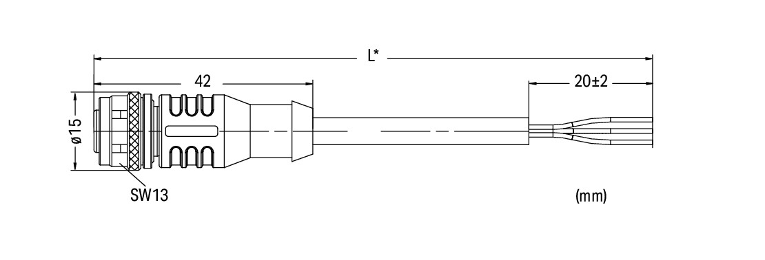 Sensor-/Aktorleitung,M12A-Buchse, axial,5-polig – Bild 2 von 4