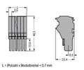 1-Leiter-Federleiste,Push-in CAGE CLAMP®,1,5 mm²,grau