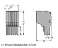 2-Leiter-Federleiste,Push-in CAGE CLAMP®,1,5 mm²,grau