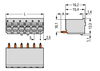 1-Leiter-THT-Federleiste, gerade Drücker Push-in CAGE CLAMP® lichtgrau