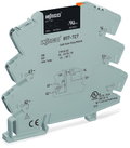 Solid-State-Relaismodul,Eingangsnennspannung AC/DC 115 V,Ausgangsspannungsbereich DC 0 … 30 V,grau