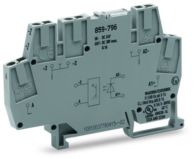Optokopplermodul,Eingangsnennspannung DC 24 V,Ausgangsspannungsbereich DC 3 … 30 V,grau