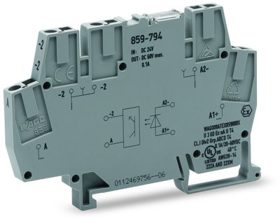 Optokopplermodul,Eingangsnennspannung DC 24 V,Ausgangsspannungsbereich DC 9 … 60 V,grau