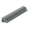 1-Leiter-Federleiste CAGE CLAMP® 2,5 mm² grau