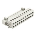 1-Leiter-Stiftleiste,CAGE CLAMP®,2,5 mm²,lichtgrau