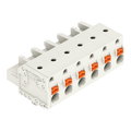 1-Leiter-Federleiste,Drücker,Push-in CAGE CLAMP®,lichtgrau