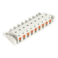 1-Leiter-Federleiste,Drücker,Push-in CAGE CLAMP®,lichtgrau