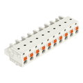 1-Leiter-Federleiste,Drücker,Push-in CAGE CLAMP®,lichtgrau