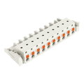 1-Leiter-Federleiste,Drücker,Push-in CAGE CLAMP®,lichtgrau