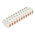 1-Leiter-Federleiste,Drücker,Push-in CAGE CLAMP®,lichtgrau