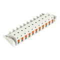 1-Leiter-Federleiste,Drücker,Push-in CAGE CLAMP®,lichtgrau
