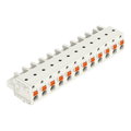 1-Leiter-Federleiste,Drücker,Push-in CAGE CLAMP®,lichtgrau