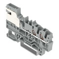 2-Leiter-Potentialausgleichsklemme,2,5 mm²,Push-in CAGE CLAMP®,grau