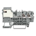 2-Leiter-Potentialausgleichsklemme,2,5 mm²,Push-in CAGE CLAMP®,grau