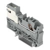 1-Leiter-Potentialausgleichsklemme 6 mm² Push-in CAGE CLAMP® grau