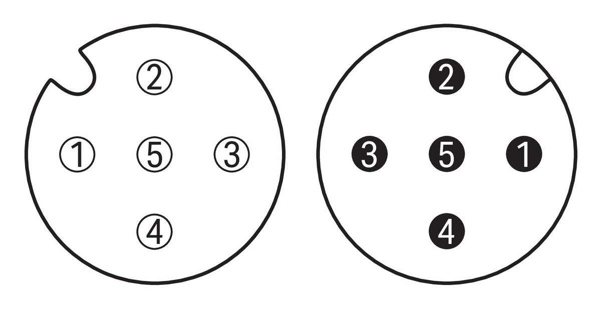 Sensor-/Aktorleitung,M12A-Buchse, winklig,M12A-Stecker, axial – Bild 3 von 4