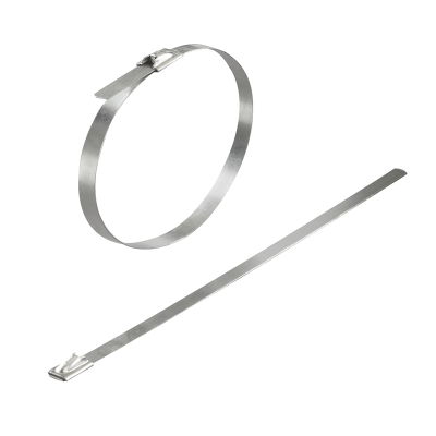 Fascetta serracavo, Larghezza: 7.9 mm, 1112 N, argento, Classe d'infiammabilità UL 94: None, Campo delle temperature di impiego : -40...300 °C