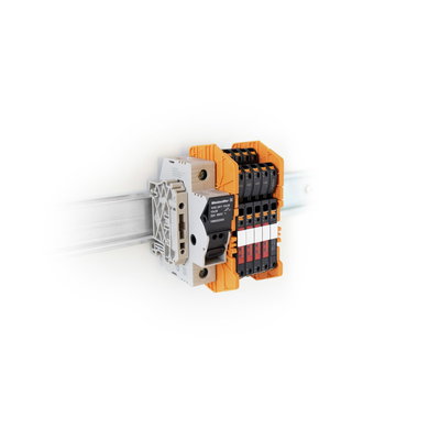 Koppelrelais mit Sicherungshalter, 230 V AC ±10 %, LED grün, 4 Wechsler (AgNi) , 250 V AC, 6 A, PUSH IN, Schraubanschluss, Prüftaste vorhanden: Nein, 