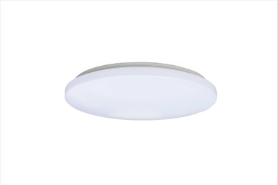 LED Wand- und Deckenleuchte Blanco ZF 12W 4000K