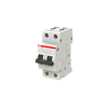 Int.aut. S202-C8 2p 8A C 10kA