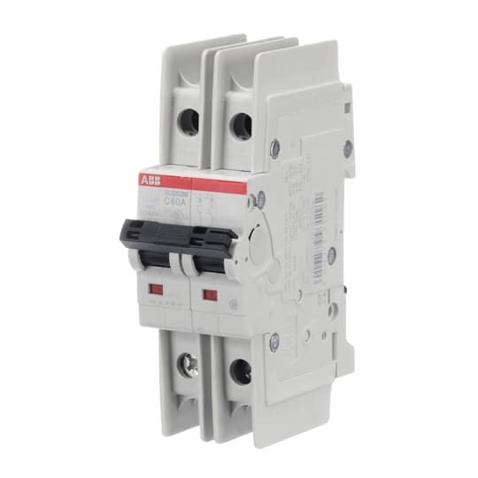 Int.aut.SU202M-C60 2p 60A C UL489 – Imagen 3 de 3