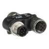 M12-3D M12  Bifurcacion Y. Cortinas