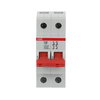 Int.secc. E202/100RD 2p 100A