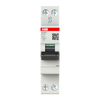 Int.aut.  S202C-C15 2 15A C 6 kA