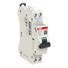 Int.aut.  S2011C-B2 1+1 2A B 6 kA