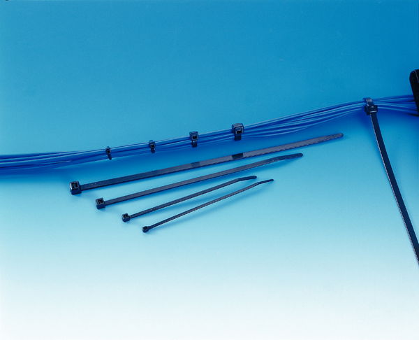 Bridas de Uso Externo 150x4.6 UV-negro – Imagen 3 de 5