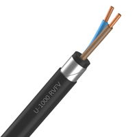 U-1000 RVFV 2x6mm2 GL
