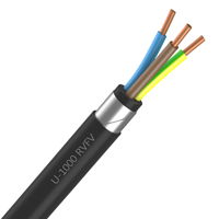 U-1000 RVFV 3G25mm2