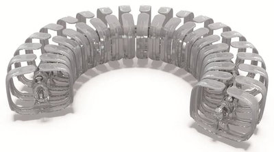 Vertebra organizador de cables 80cm BL
